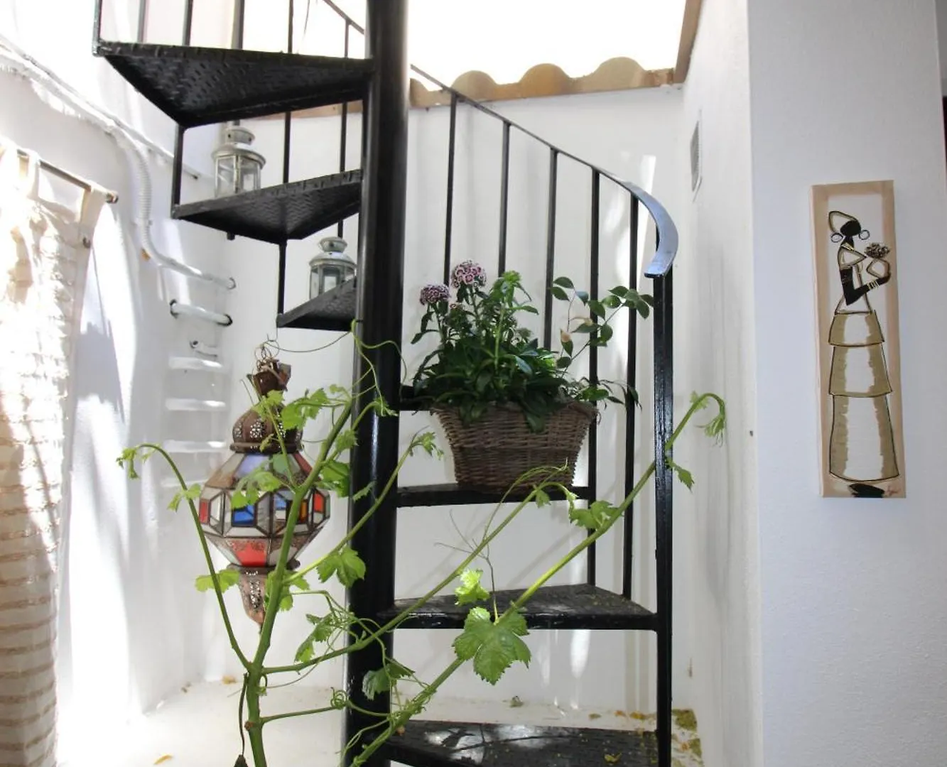 Hostal Las Acacias Málaga Konukevi
